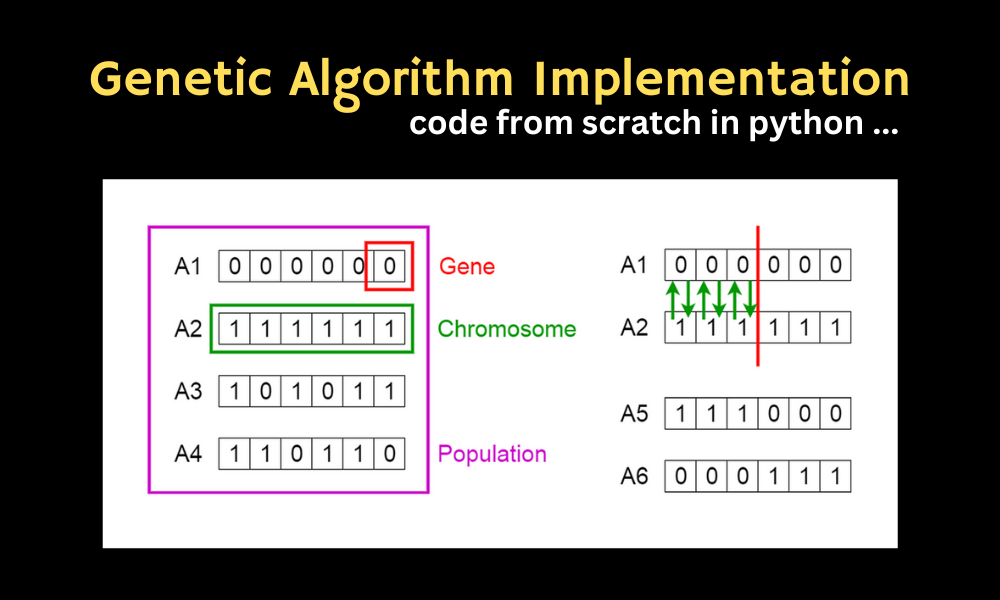 Genetic algorithm implementation from scratch